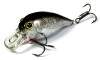  Lucky Craft Bevy Crank 45SR_0596 Bait Fish Silver