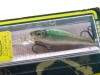  Megabass Live-X Smolt m champagne kinkuro